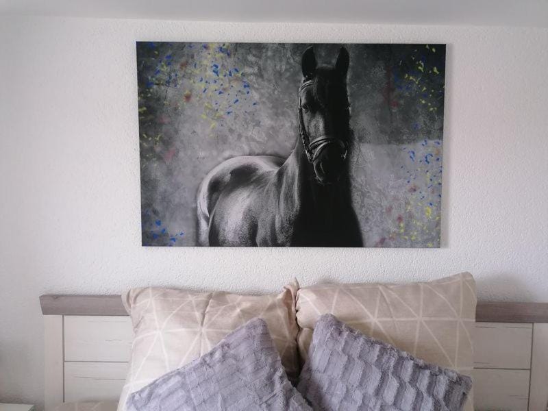 "Die Jockeysuite" auf unserem Reiterhof Apartment in Rhineland-Palatinate