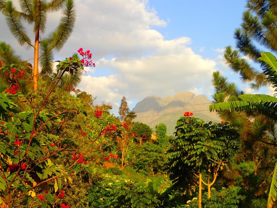 Mountain view