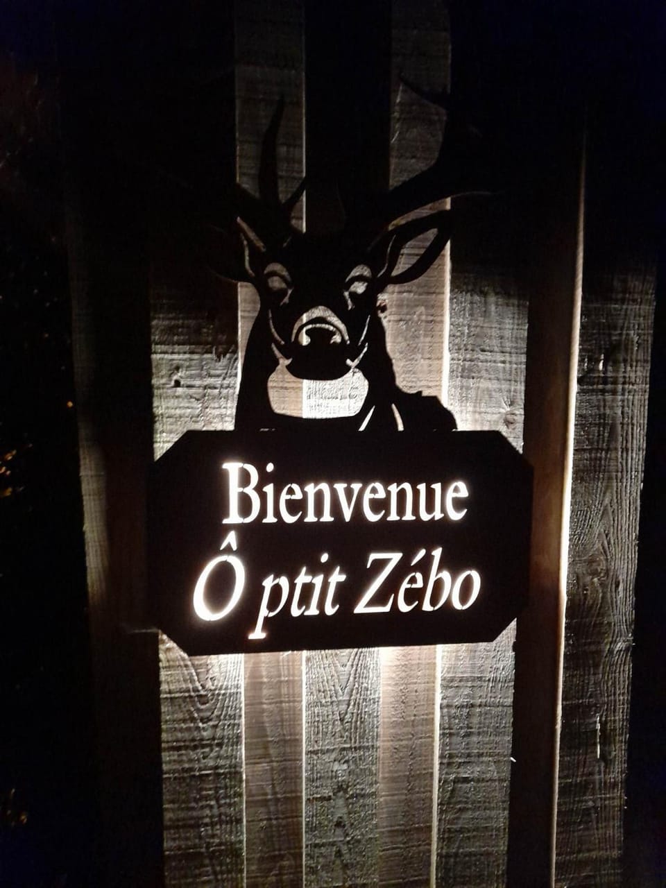 Ô ptit Zébo House in Wallonia, Belgium