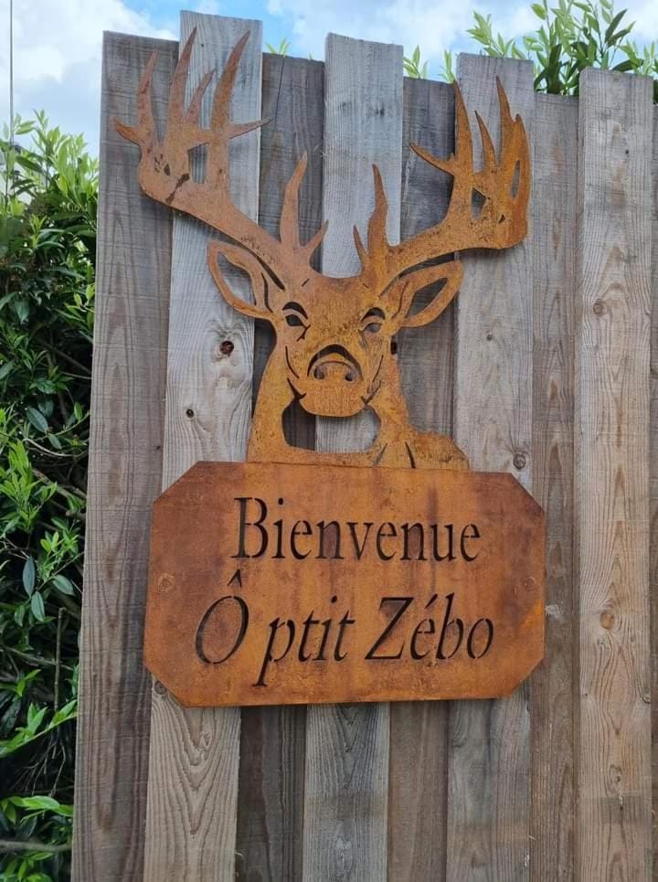 Ô ptit Zébo House in Wallonia, Belgium