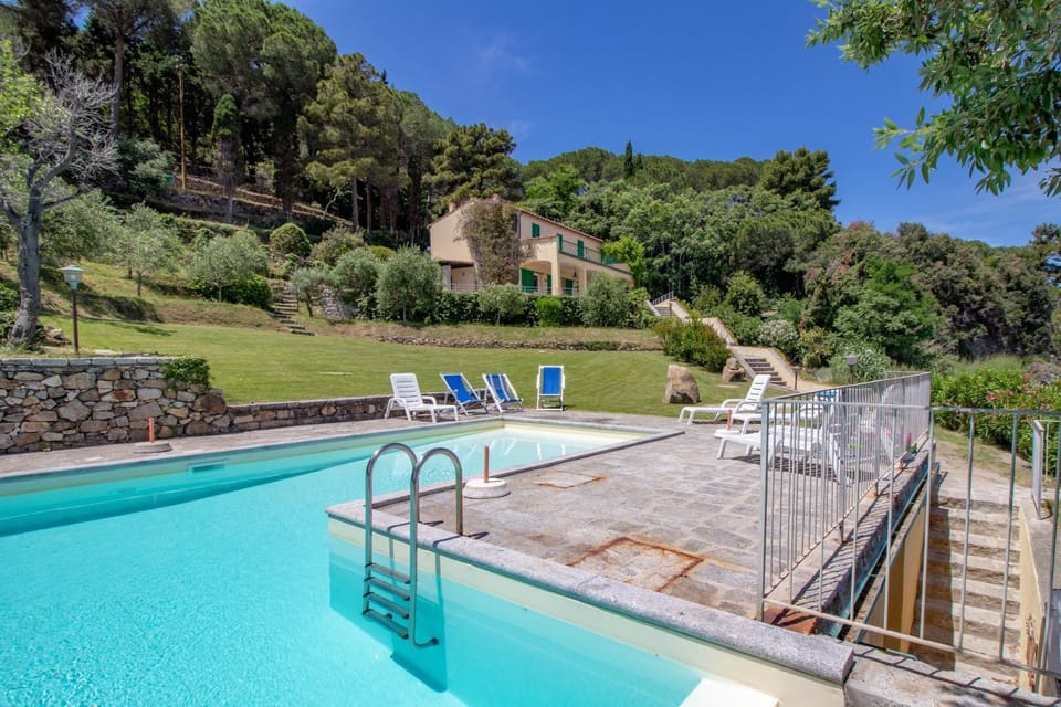 Day, Natural landscape, Garden, Garden view, Pool view, Swimming pool