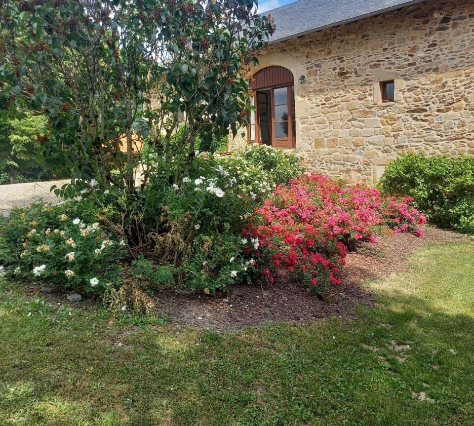 Property building, Garden view