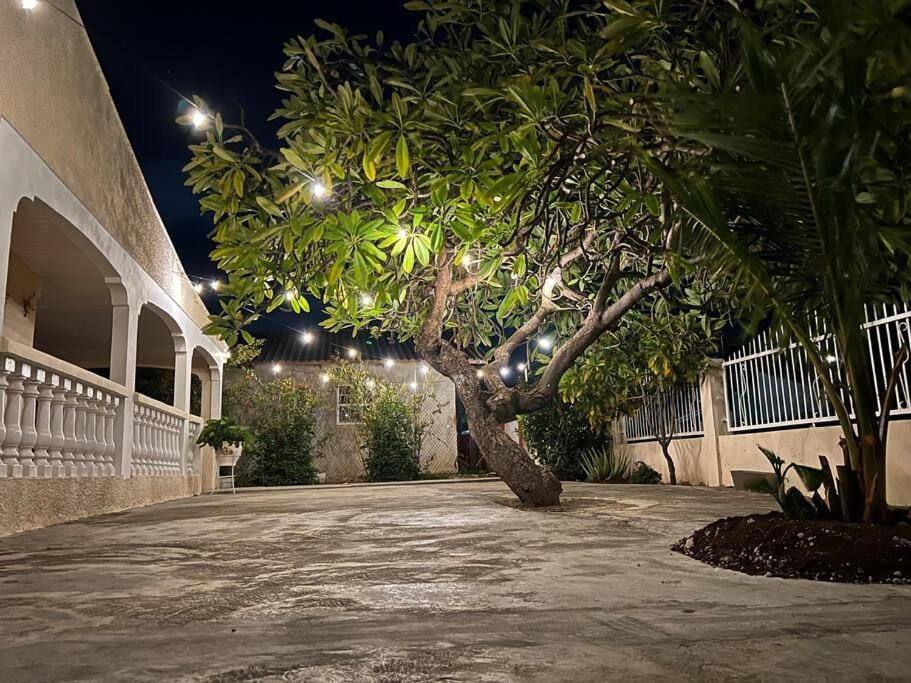 Property building, Night, Garden, Garden view