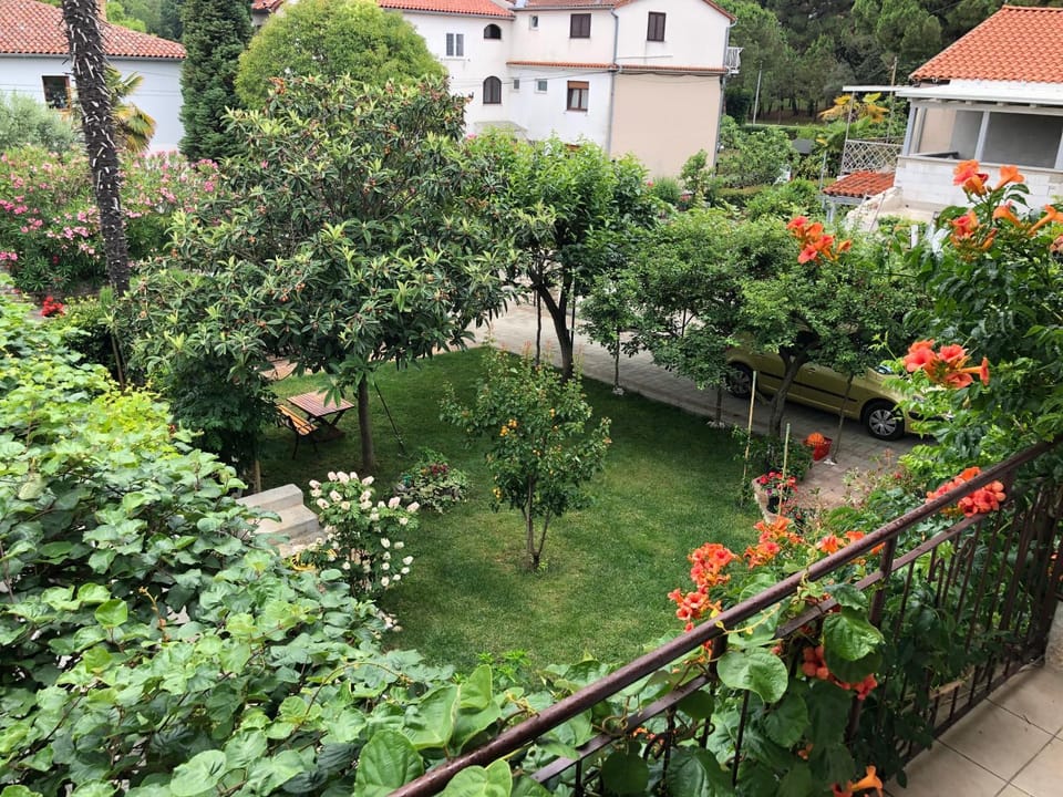 Spring, Day, Garden, Garden view