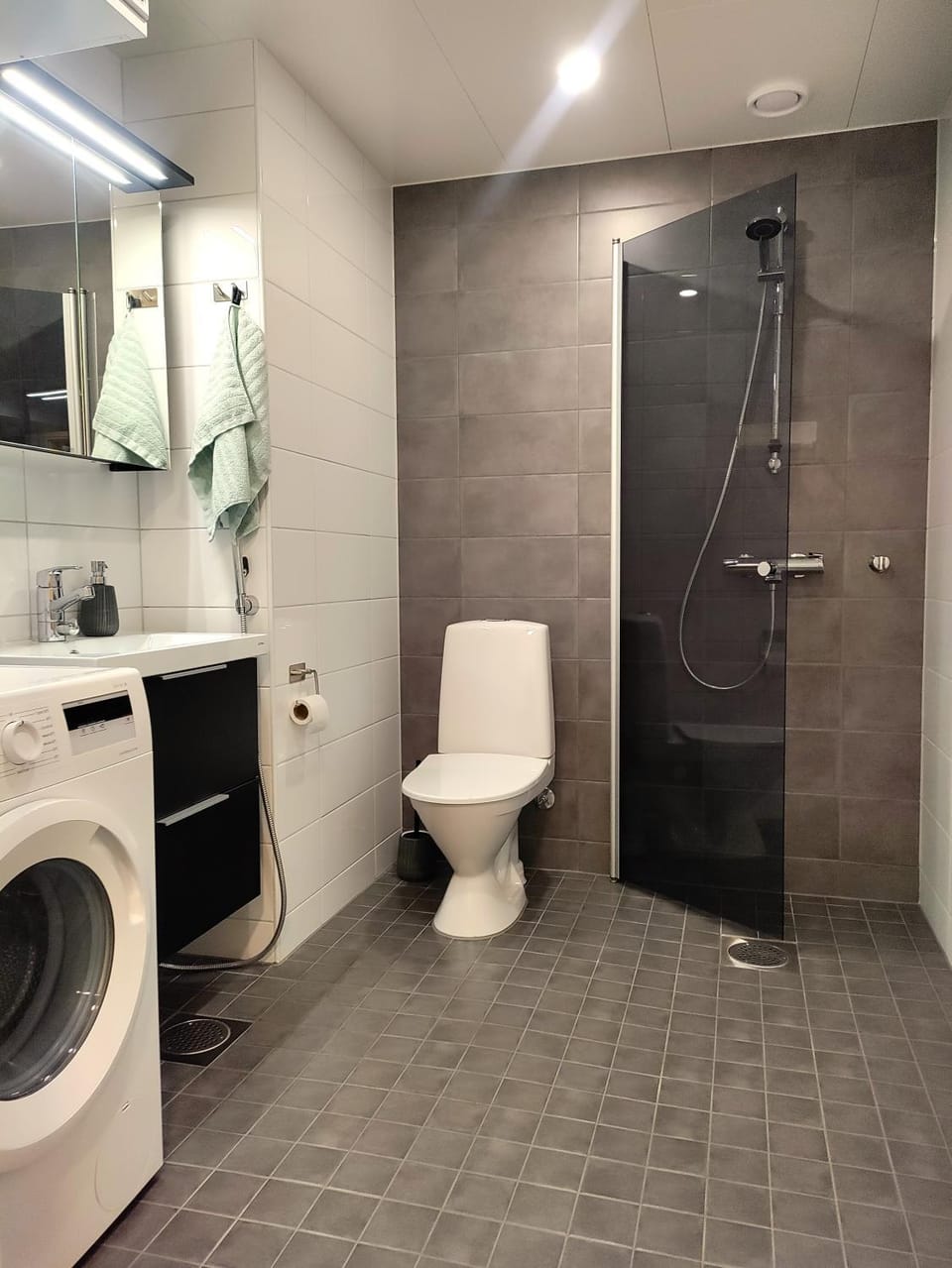 Shower, Toilet, Bathroom, washing machine