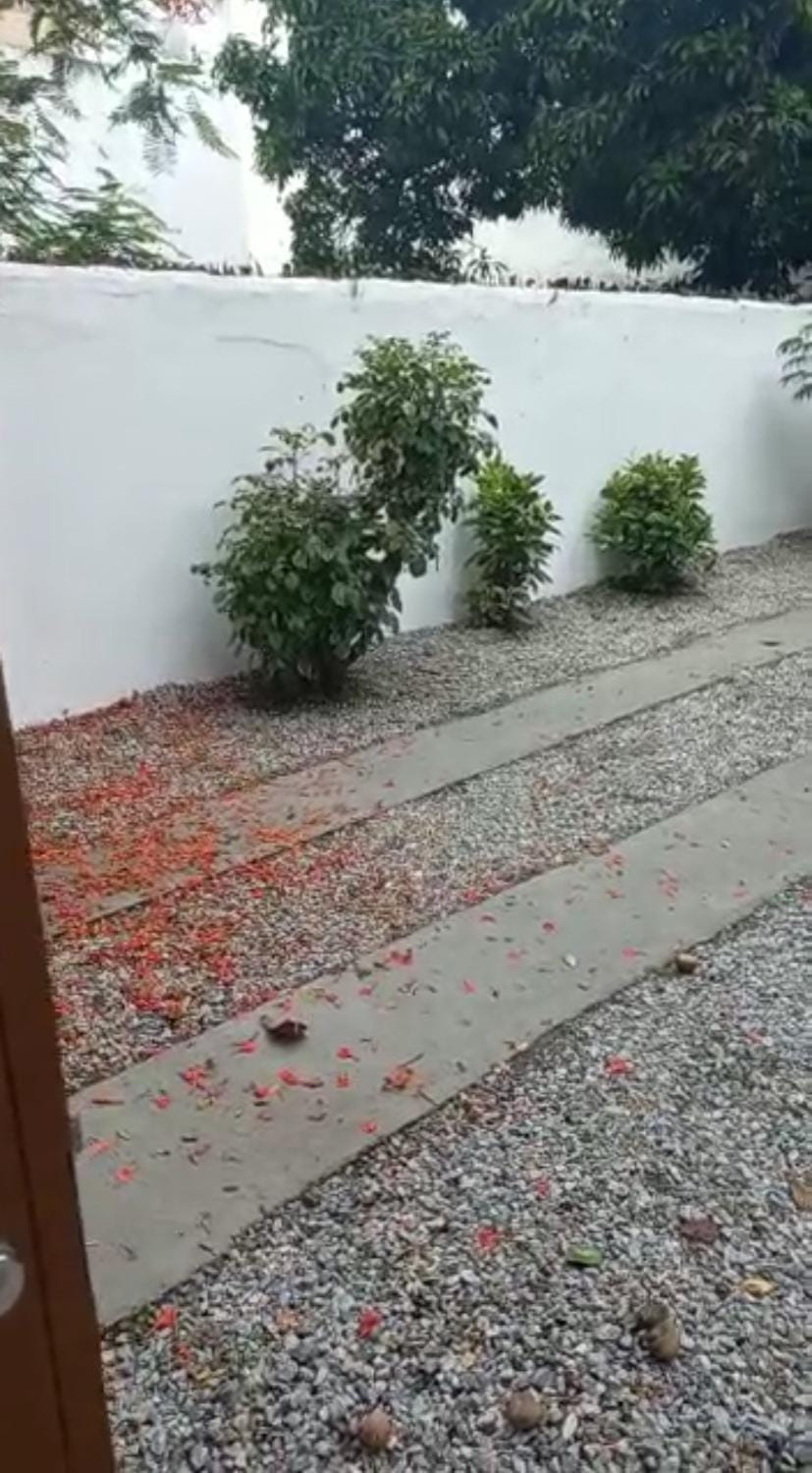 Garden view