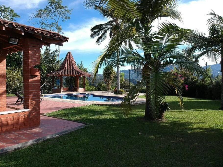 Patio, Day, Natural landscape, Garden, Garden view, Pool view, Swimming pool