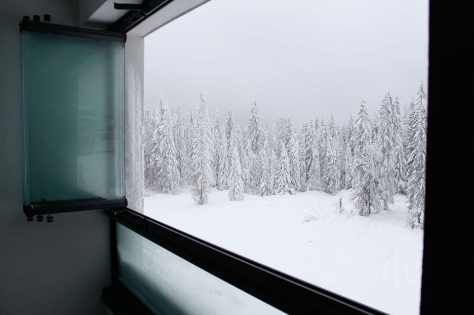 Natural landscape