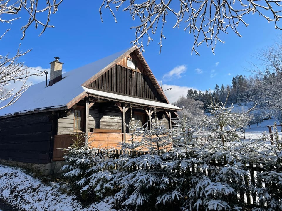 Property building, Natural landscape, Winter
