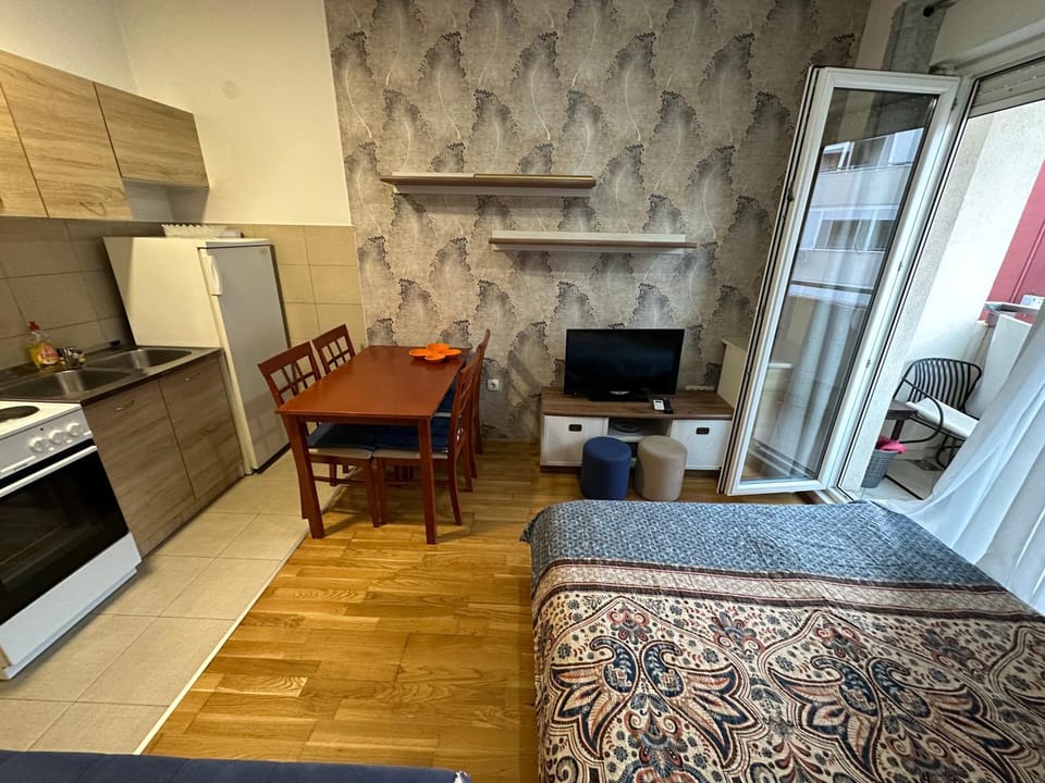 Ania apartment Apartment in Podgorica