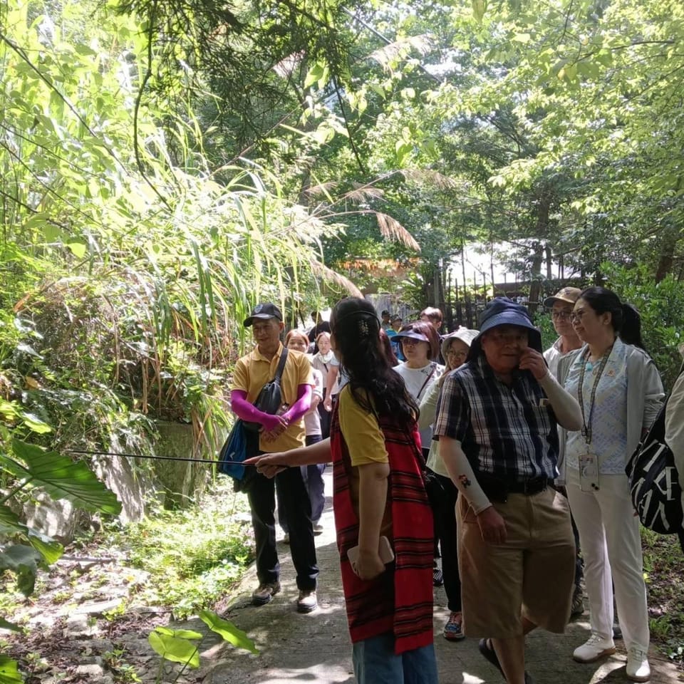 山蘇的故鄉 桃園市民宿130號 Nature lodge in Taiwan, Province of China