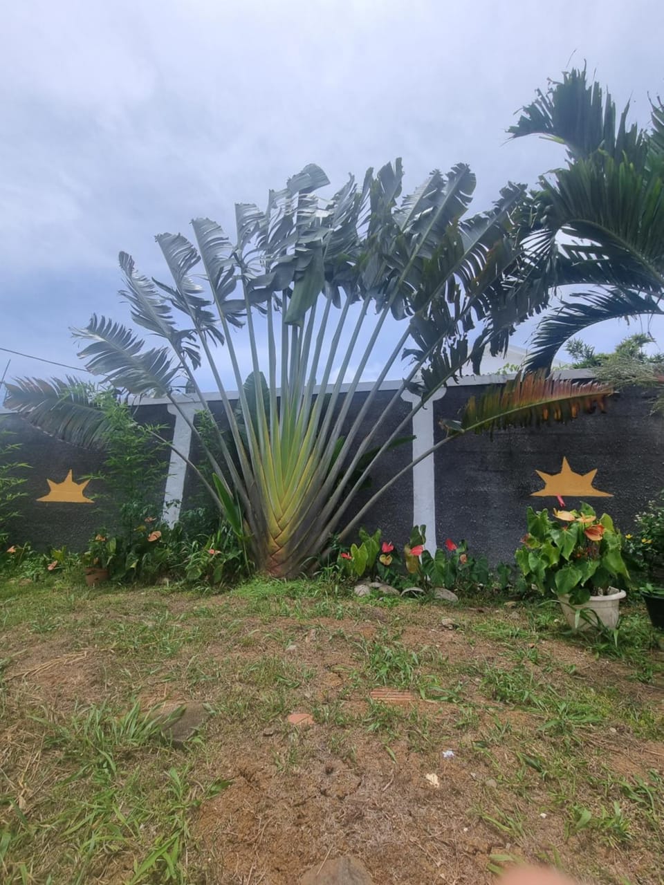 Accueil Créole Apartment in Leeward Islands