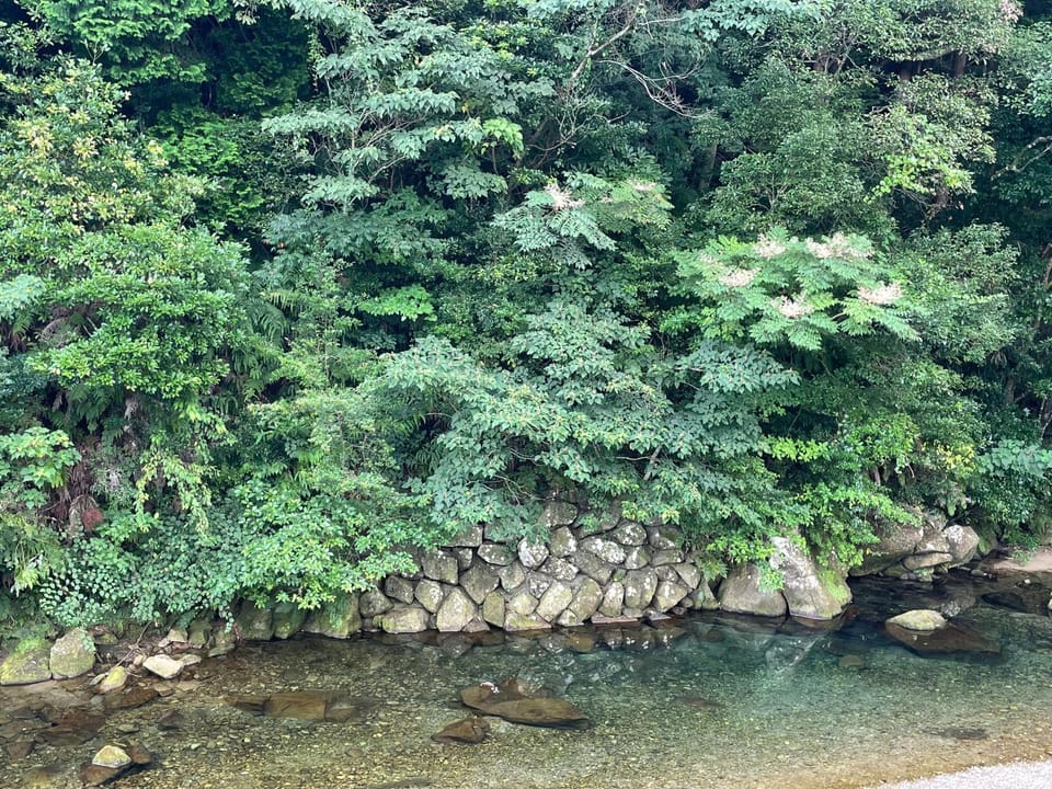 View (from property/room), River view