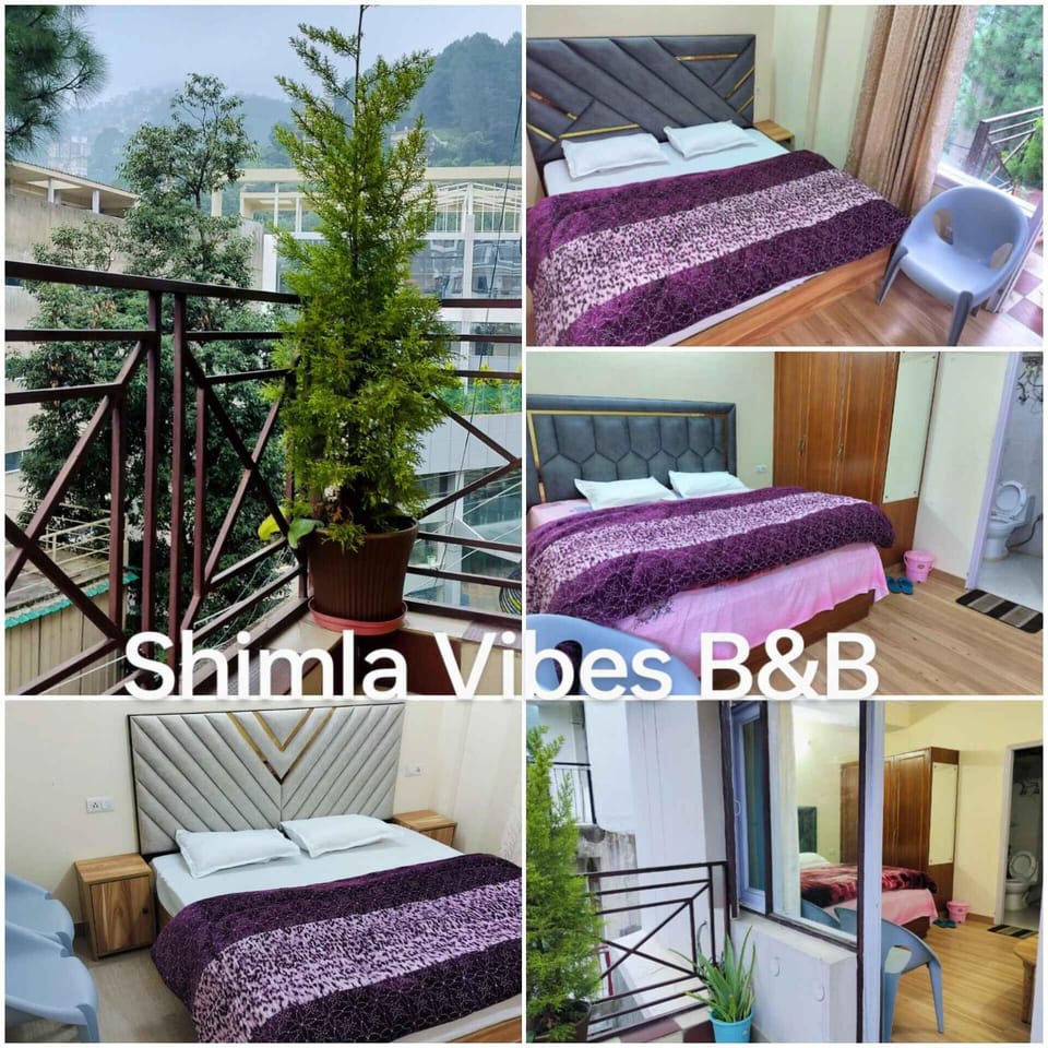 Shimla Vibes B & B free pick and drop from ISBT Shimla Apartment in Shimla