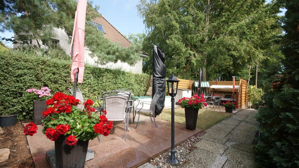 Spring, Day, Garden, Garden, Balcony/Terrace, Garden view