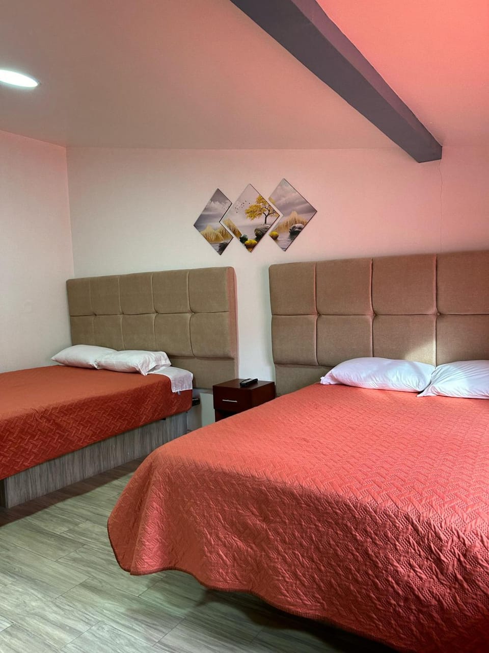 Bed, Photo of the whole room