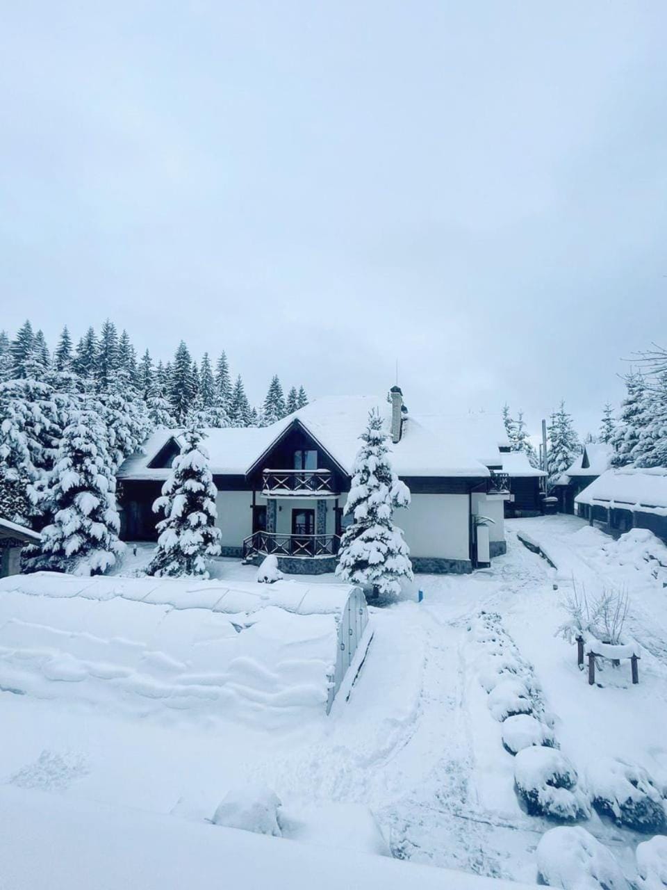 Winter, On site, Area and facilities