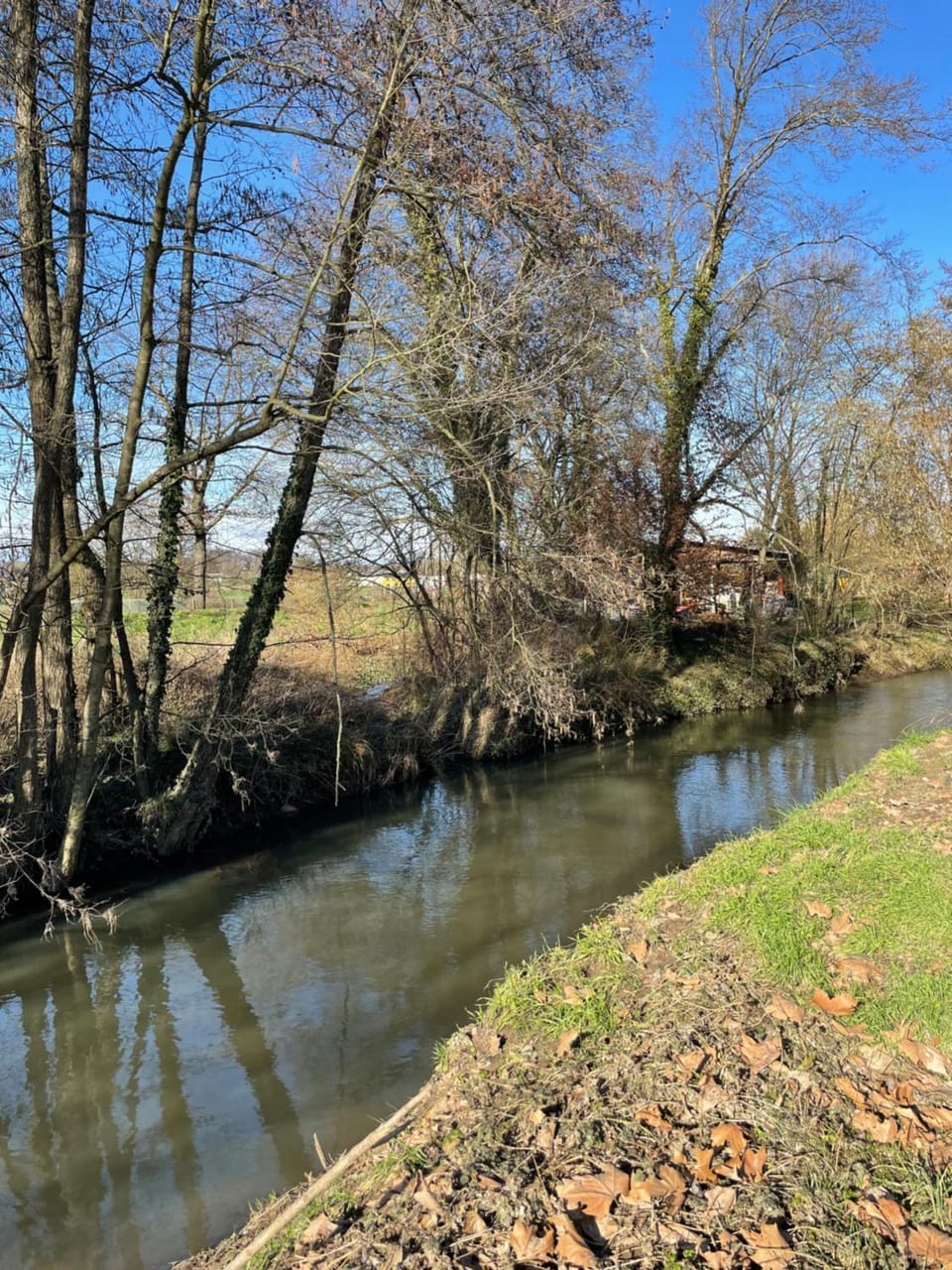 Natural landscape, River view
