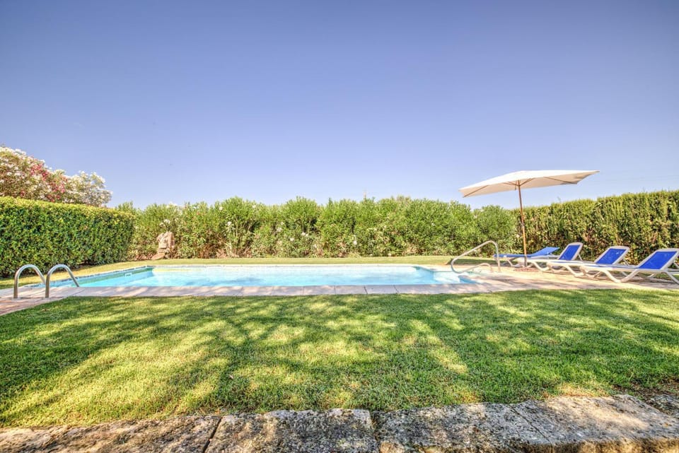 Patio, Garden, Garden view