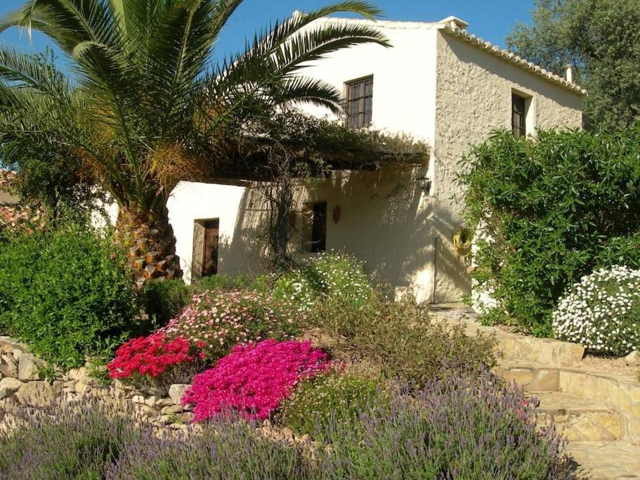 La Molina Del Olivar - Peaceful Location Villa in Axarquía