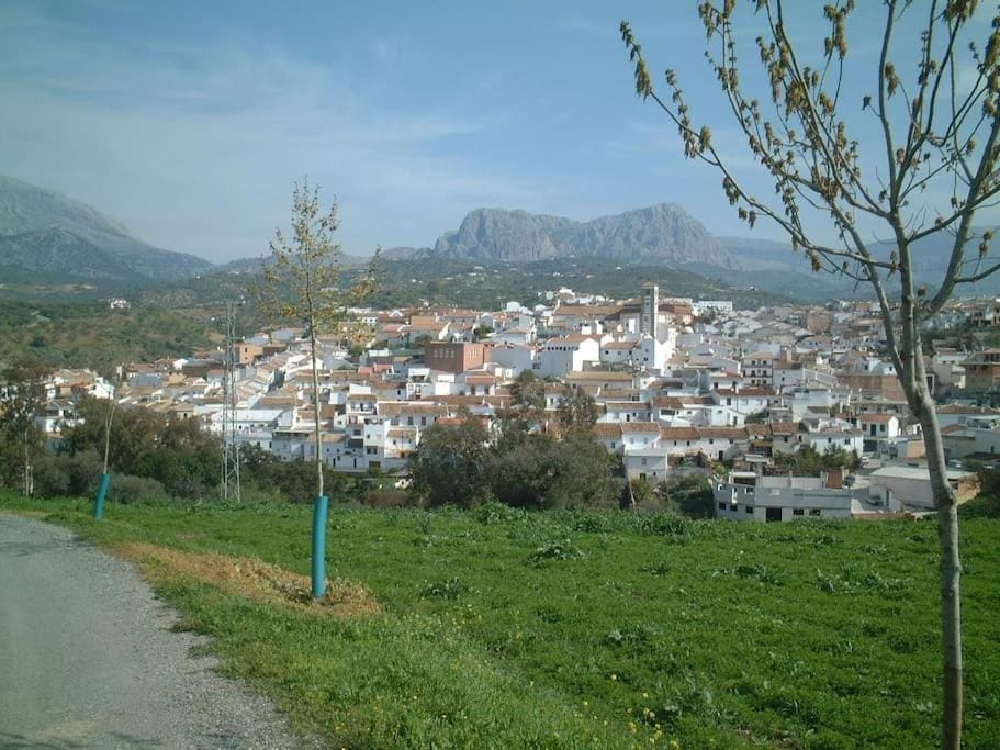 La Molina Del Olivar - Peaceful Location Villa in Axarquía