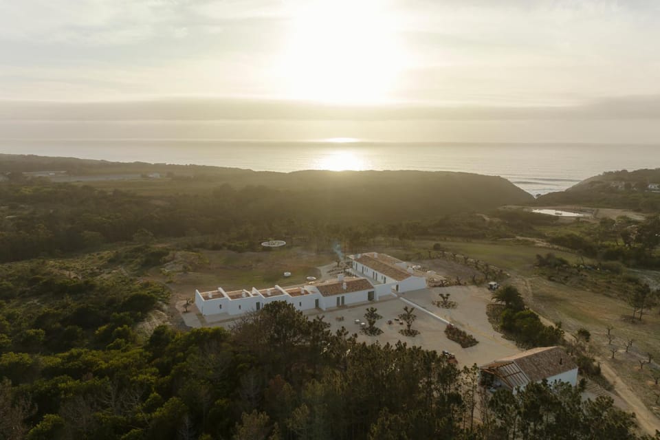 Natural landscape, Garden, Sea view, Sunset