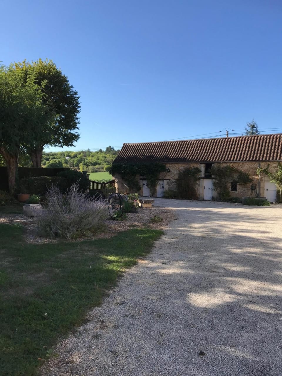 Garden, Garden