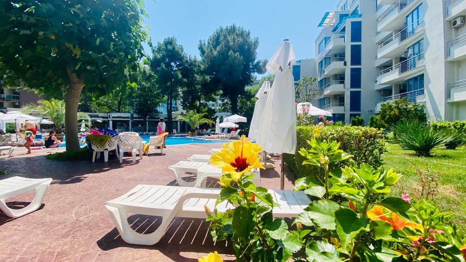 Swimming pool, sunbed