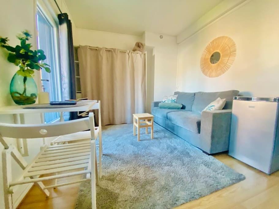 Living room, Photo of the whole room, Seating area