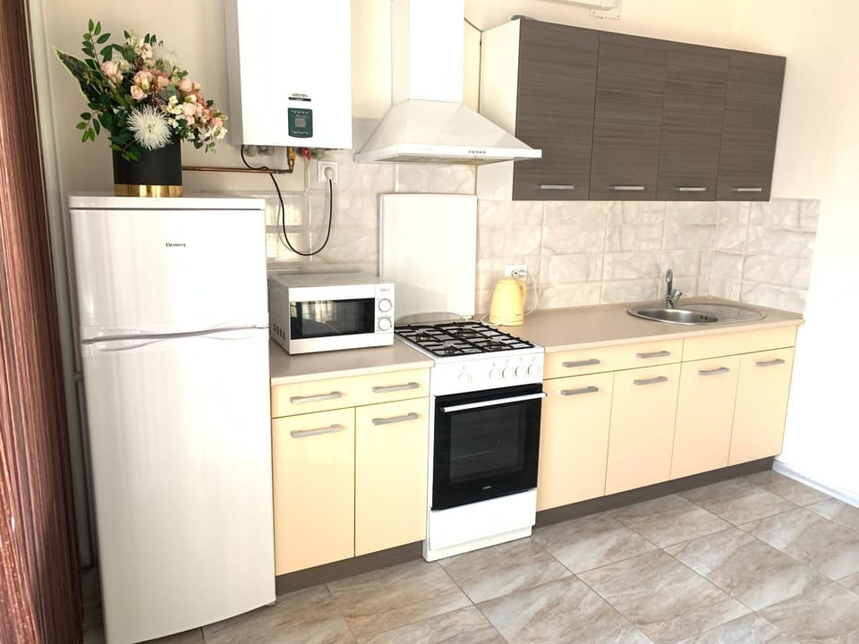 Kitchen or kitchenette, minibar, pet friendly