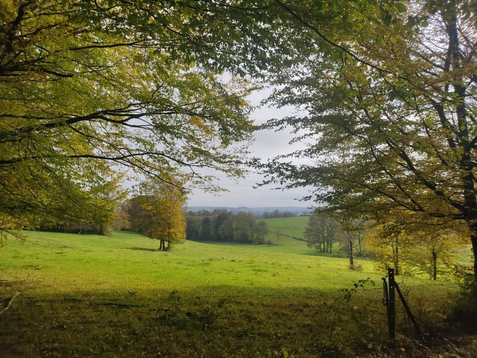 BenB La Fosse Bleue Bed and Breakfast in Wallonia, Belgium