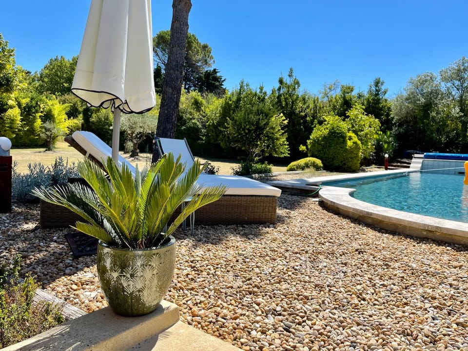 Day, Garden, Garden view, Pool view, Swimming pool, sunbed