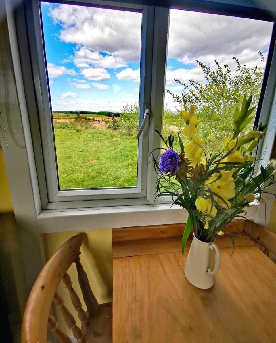 Bluebell Off-Grid Van Campground/ 
RV Resort in England