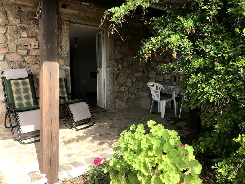 Day, Garden, Garden view
