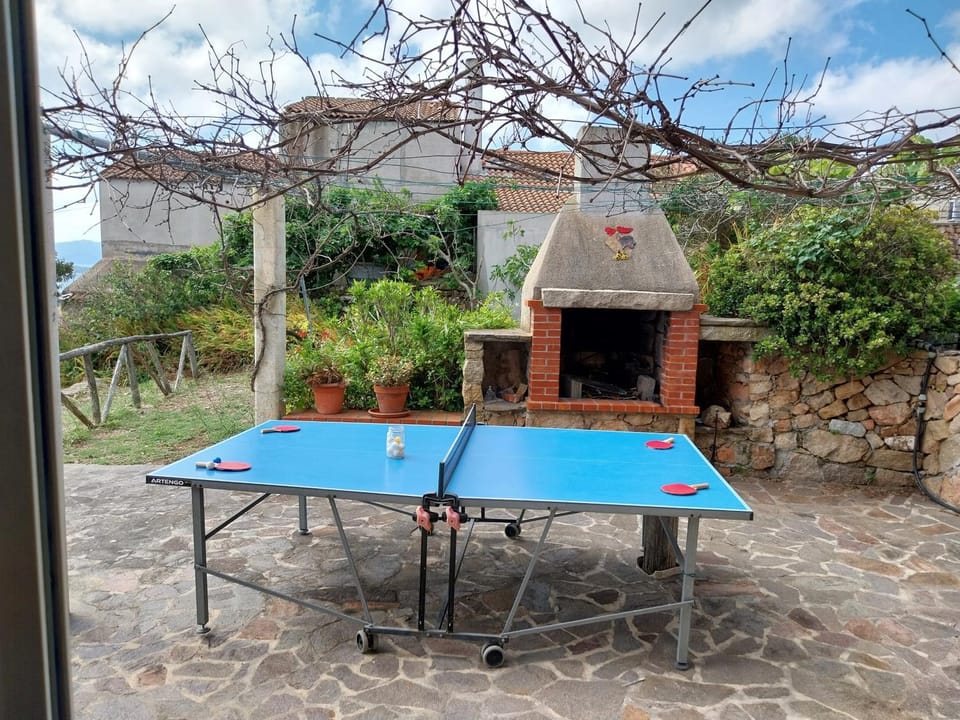 Table tennis