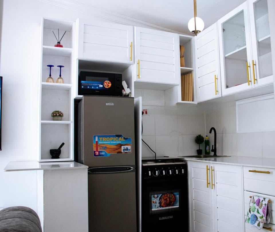 Kitchen or kitchenette, oven, stove