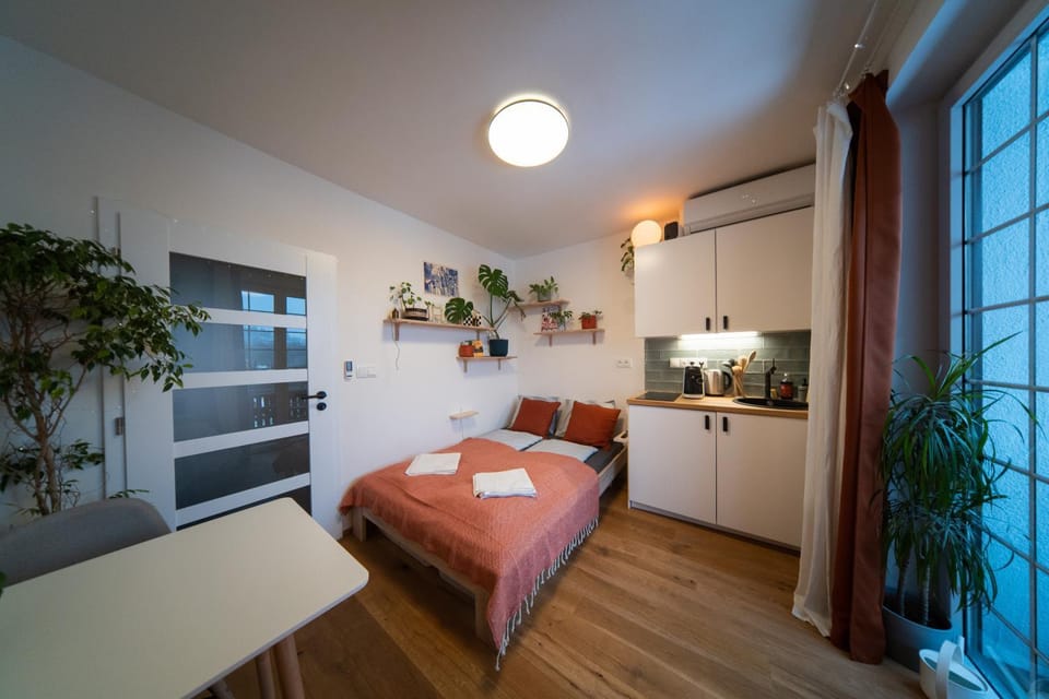 Small cozy flat with balcony & private parking Apartment in Prague
