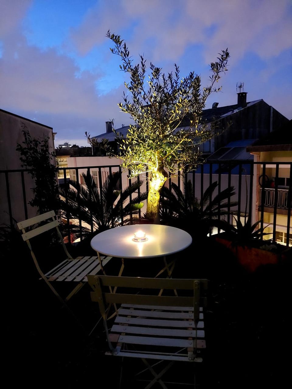 Le Chien Noir City Centre Apartment in Porto