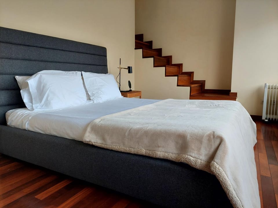 Le Chien Noir City Centre Apartment in Porto
