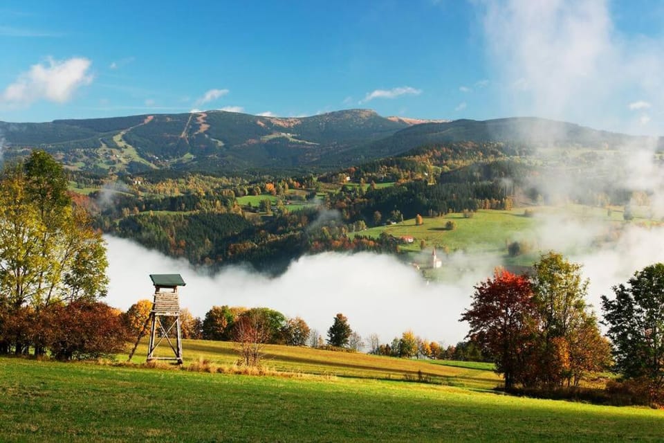 Mountain view