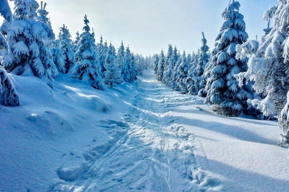 Natural landscape, Winter