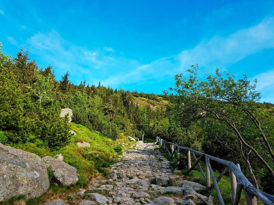 Natural landscape