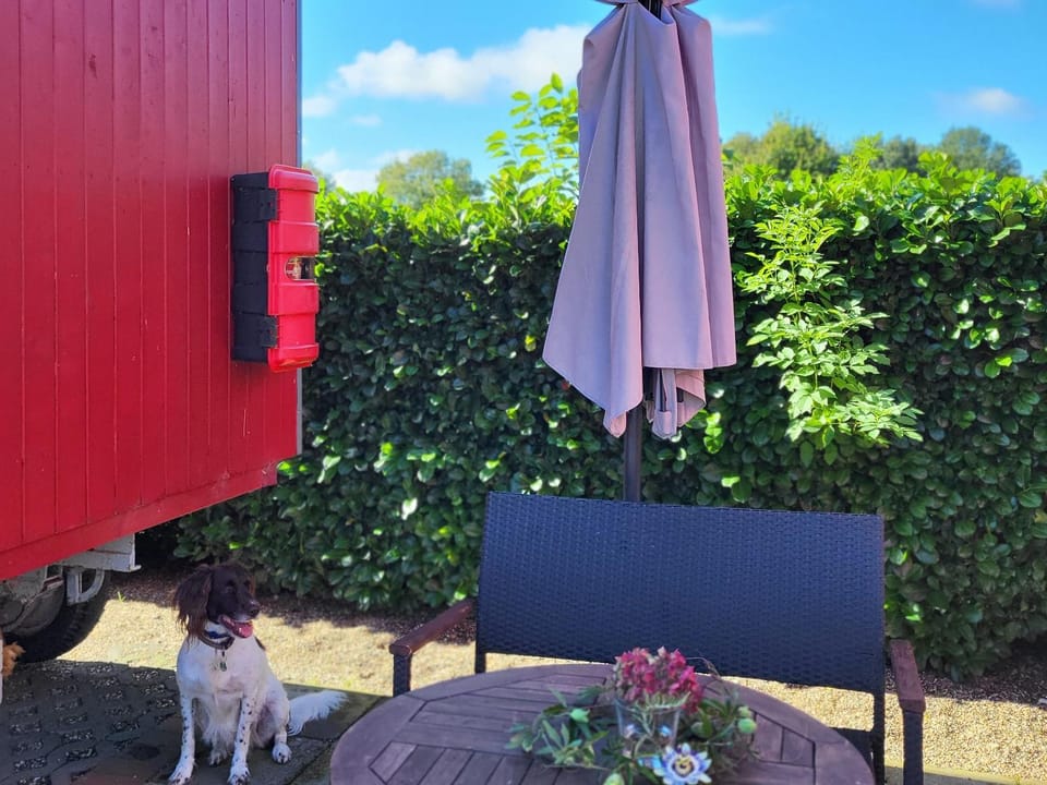 Balcony/Terrace, pet friendly