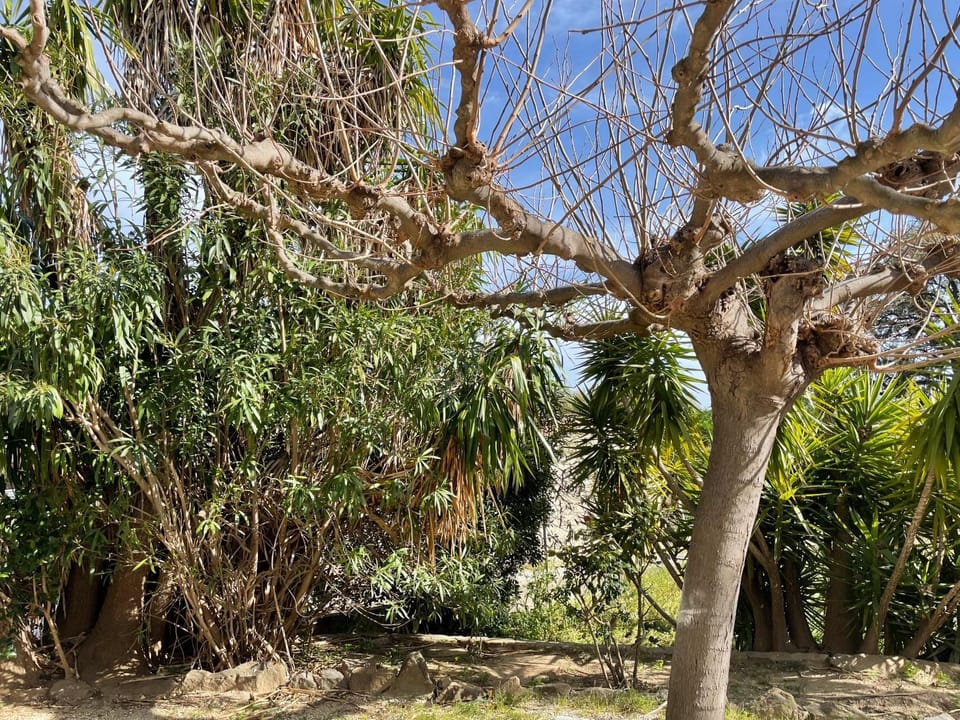 Garden, Garden view