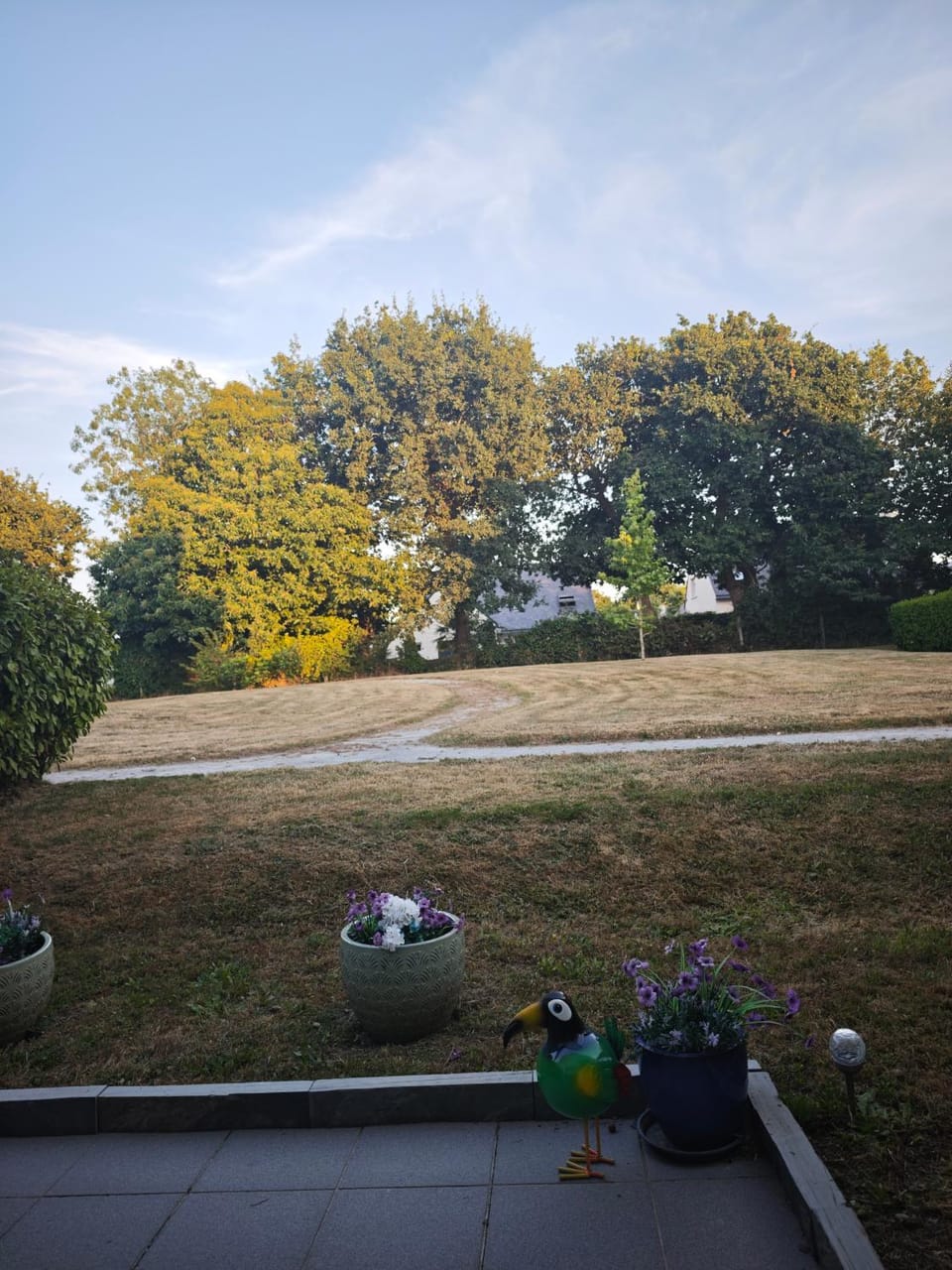 View (from property/room)
