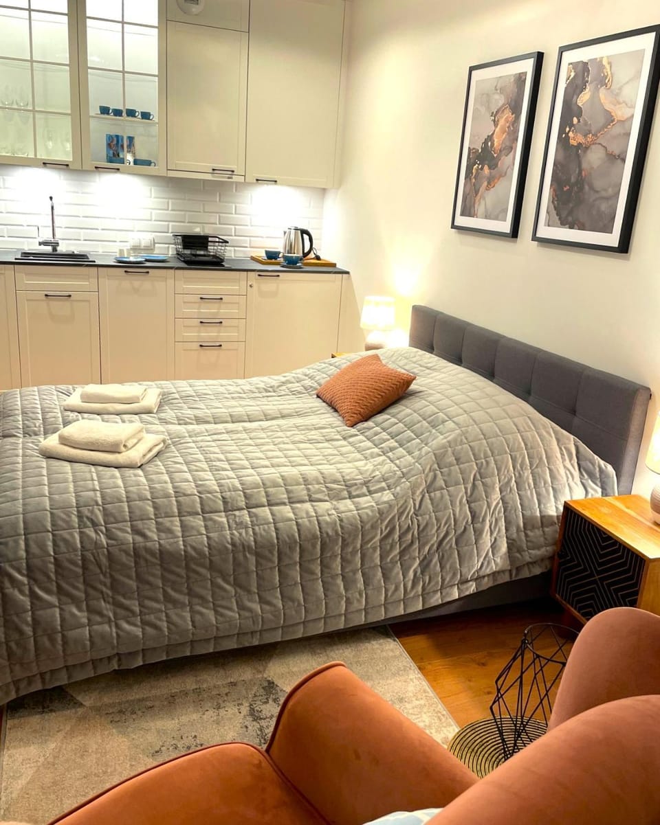 Bed, Kitchen or kitchenette, Living room, Seating area, Bedroom