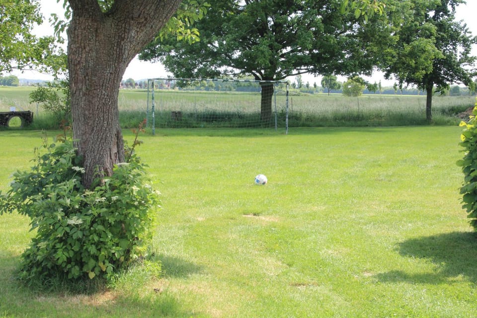 Activities, On site
