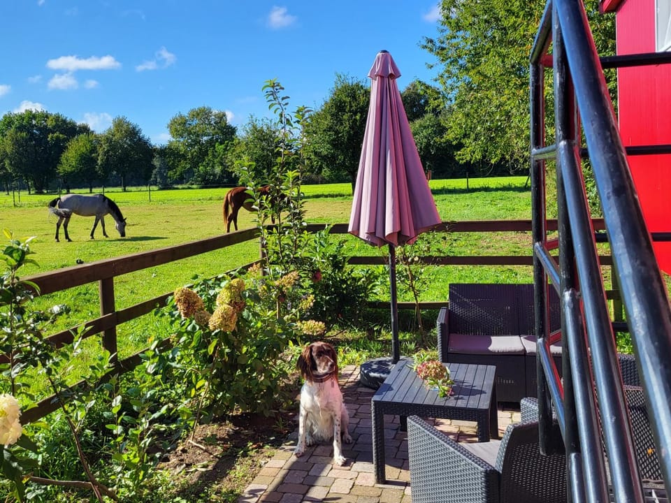 Garden, View (from property/room), Animals, Garden view, pet friendly, pet friendly