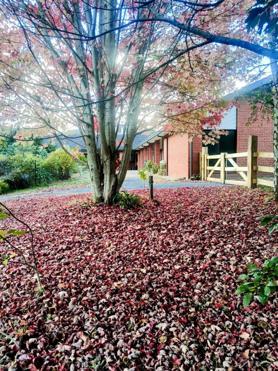 Riverlin Estate Bed and Breakfast in Victoria