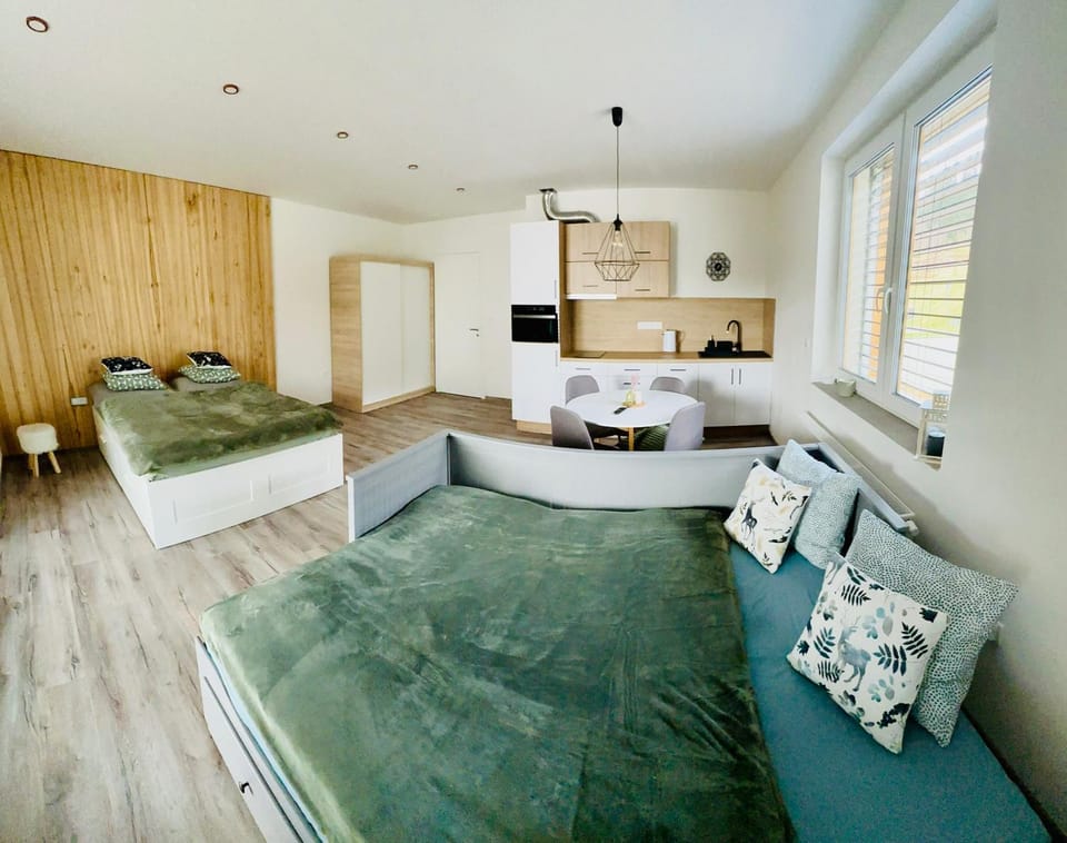 Bed, Kitchen or kitchenette, Living room, Photo of the whole room, Bedroom